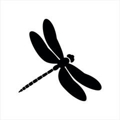 dragonfly isolated on white