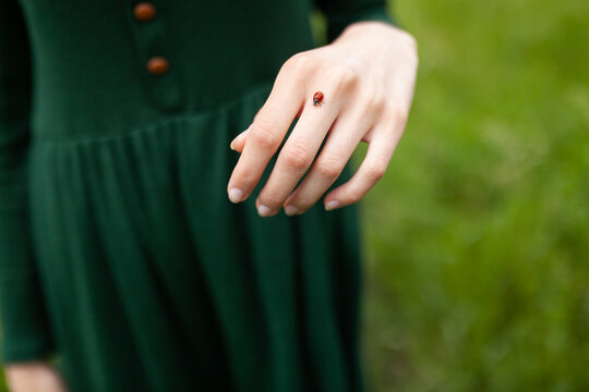 Ladybug on a hand with a green dress in a natural outdoor setting