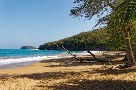 Plage de la Perle