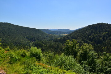 Pfälzer Wald_021