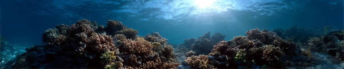 Underwater coral reef exploration ocean hdr panoramic view 360 degrees vibrant environment