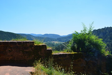 Pf&auml;lzer Wald_027