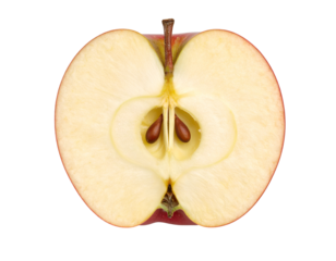 Apple slice cross section on black