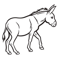 Obraz premium Donkey walking with mane and tail animal mammal