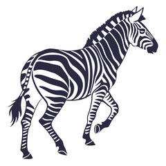 Obraz premium Dark striped zebra walking animal wildlife