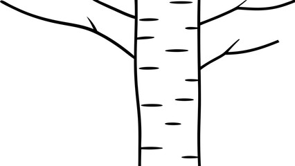 White Birch Tree Clipart Black Line Bark Isolated black line art