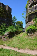 Pf&auml;lzer Wald_010