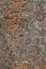 Closeup of rock face detail.