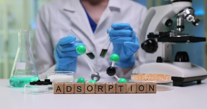 A dedicated scientist demonstrates the process of adsorption using detailed molecular models in a lab setting