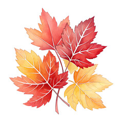 Fototapeta premium A watercolor sticker showing a bunch of vivid autumn leaves, beautifully detailed with rich, warm colors and natural textures, capturing the essence of fall in a lively and artistic style.