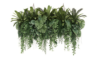 Lush hanging basket overflowing with various green tropical plants and vines