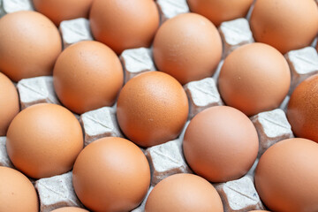 Fresh organic brown chicken eggs in cardboard tray