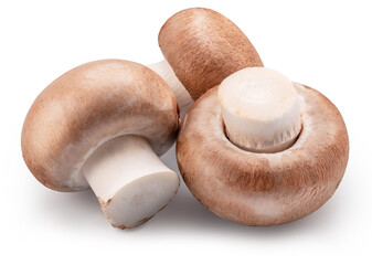 Three brown champignon mushrooms isolated on white background. File contains clipping path.