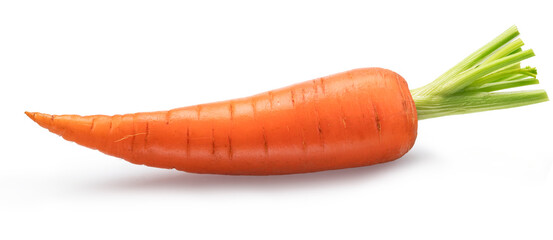 One fresh ripe carrot isolated on white background. File contains clipping path.