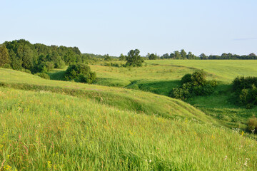 Rolling green hills under a clear blue sky, serene summer landscape