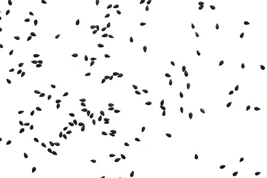 Black sesame seeds isolated on white background