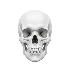 Fototapeta premium human skull isolated on white