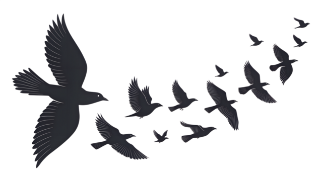 Flying Birds Silhouette Vector: Freedom and Nature Icon