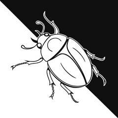 bug vector illustration