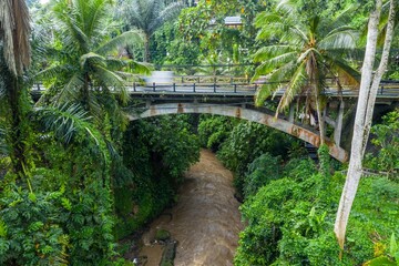 A bridge spans the Campuhan River in Ubud, Bali, Indonesia. Lush tropical foliage surrounds the...