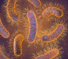 Medical education, pathogenic bacteria salmonella, enterobacteria, rod-shaped, disease affecting the intestinal tract, 3d rendering