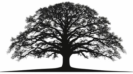 Silhouetted image of a large tree.