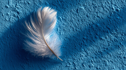 A Single White Feather Gently Curved on a Blue Background. Softness and Purity Concept.