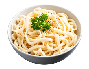 Bowl of udon noodles close up