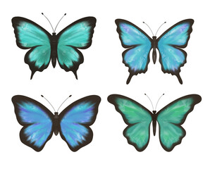 Wonderful clipart, set of delicate blue, green and turquoise butterflies. Hand made digital illustration. For the design, decoration and composition of postcards, posters, stickers