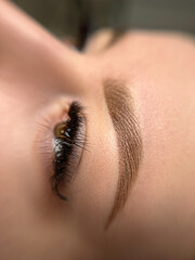 permanent eyeliner makeup close up. Healthy and clean skin young woman A close-up of a human eye.  The iris is a rich  color, with highlights that create a reflective quality.  Long, dark eyelashes