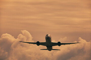 Airplane in the Sky -  Vacation -  Travel - Holidays - Tourism 
