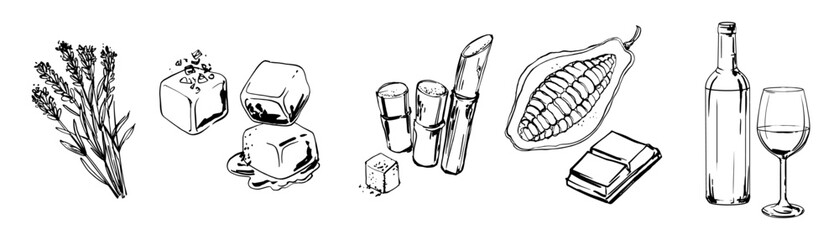 Hand drawn line food illustration vector. Lavender, caramel, sugar bamboo, cocoa, bottle and glass of wine