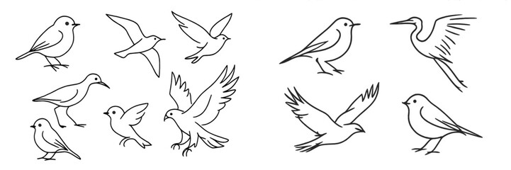 Various bird illustrations showcasing different species in flight and on land, ideal for nature enthusiasts and artists alike