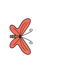 butterfly on white background