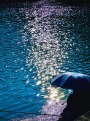 umbrella on the beach