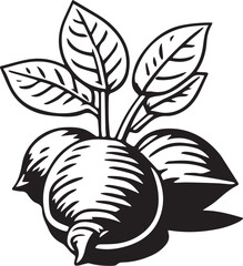 Fototapeta premium Print Radishes with Leaves Icon