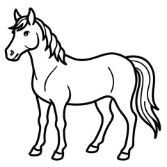 black horse vector illustration