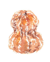 鹿ケ谷かぼちゃの水彩イラスト – 京野菜のユニークな縦長カボチャ