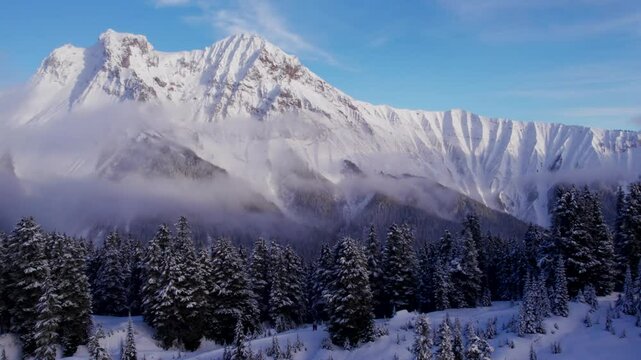 A winter drone shot revealing the Garibaldi ridge and Atwell peak. Snow covered ground and trees add to the experience.