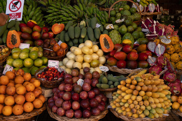 Wide display of tropical fruits at street market