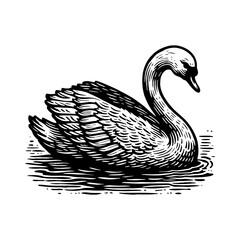 Elegant Swan Swimming Serene Water Black and White Outline Line Art Drawing Vintage Engraving Style