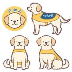 介助犬のラブラドールレトリバーバリエーションセット