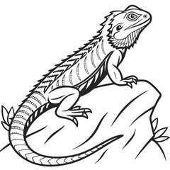 Bearded Dragon Lizard on Rock Line Art Monochrome Majestic Reptile Illustration