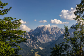 panoramic view of the alpine peaks through lush green tree branches. framed nature concept, serene...