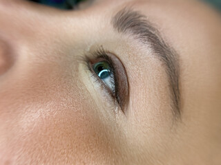 Obraz premium Close-up of a woman's eye with natural makeup. The eye has a green iris and well-groomed eyebrows. Skin appears smooth and healthy.