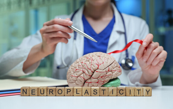 A detailed exploration of neuroplasticity, highlighting the brains ability to adapt and reshape from experiences