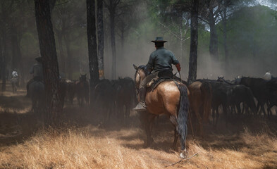 Riders drive a herd of horses through dusty pine woods during the annual "Saca de las Yeguas" in Almonte, Huelva, southern Spain.