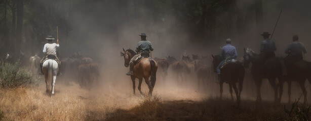 Riders drive a herd of horses through dusty pine woods during the annual 