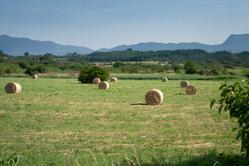 scenic harvested straw field with hay bale agriculture landscape copy space