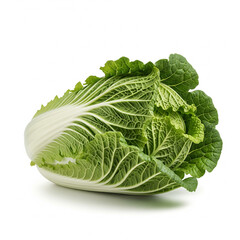 cabbage isolated on white background